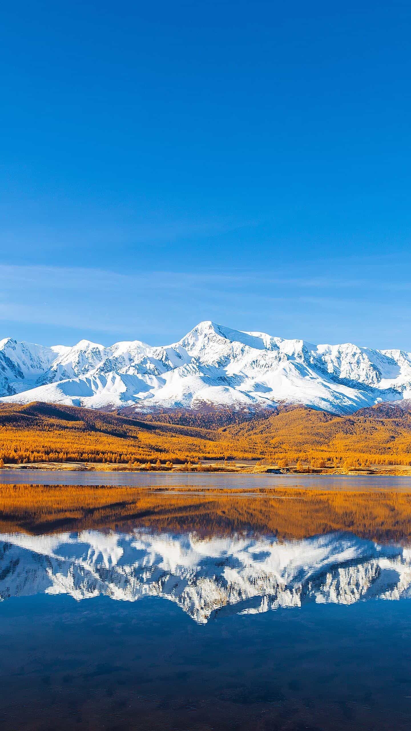 广东首家由卫生行政部门主导设立的生物医学新技术公共服务平台成立